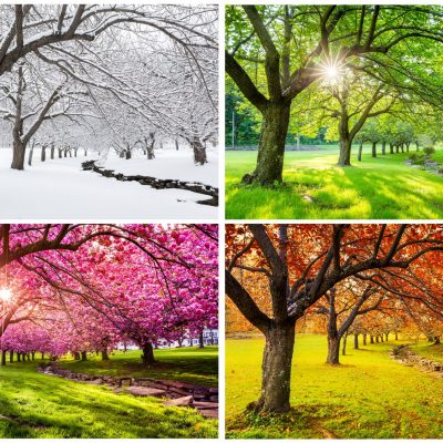 seasons